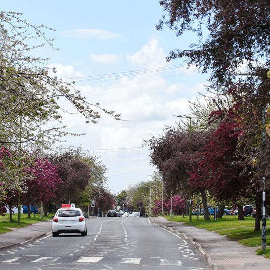 driving school in Anniesland